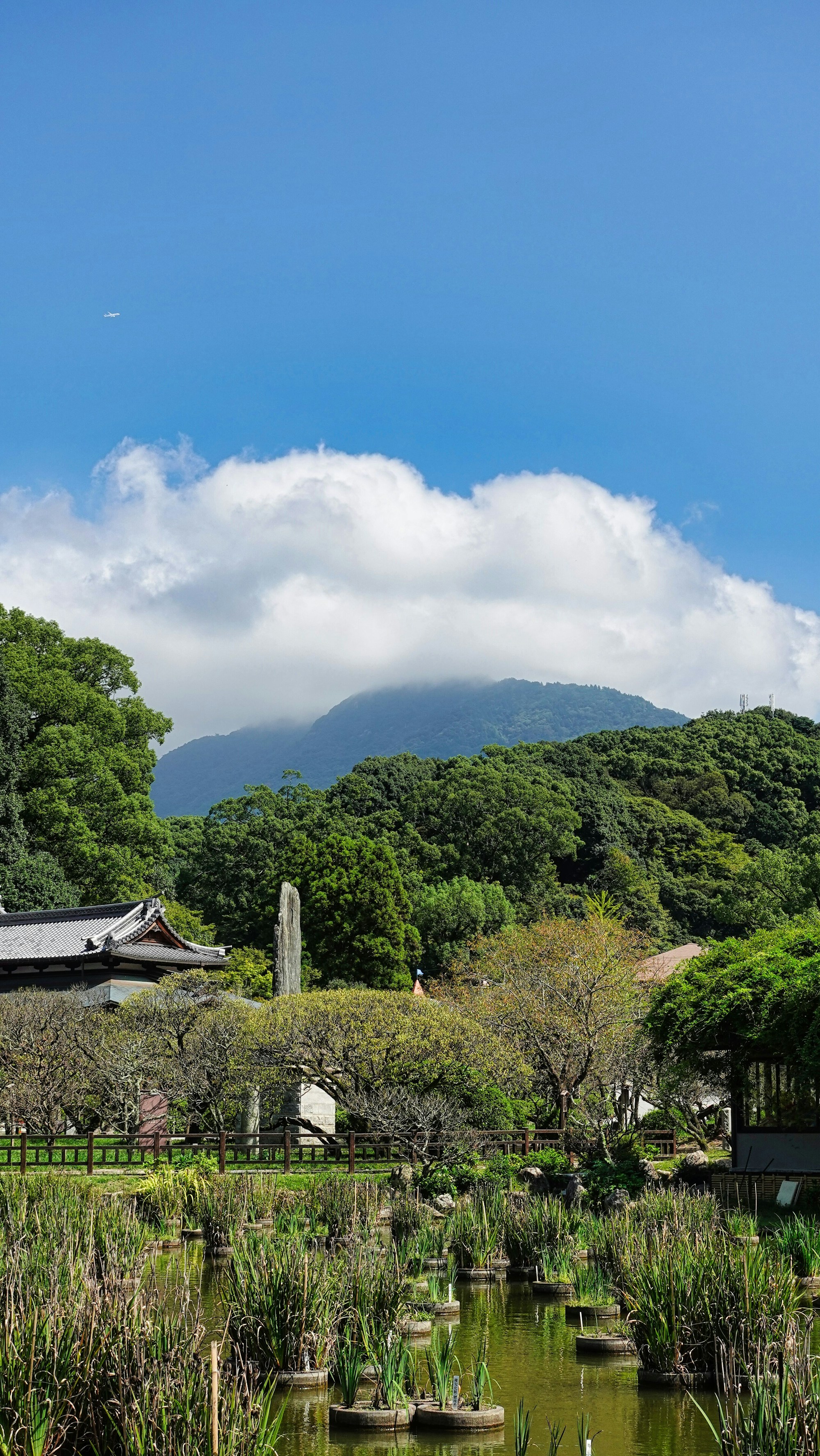 Dazaifu Local Cuisine: Traditional Dishes and Restaurants