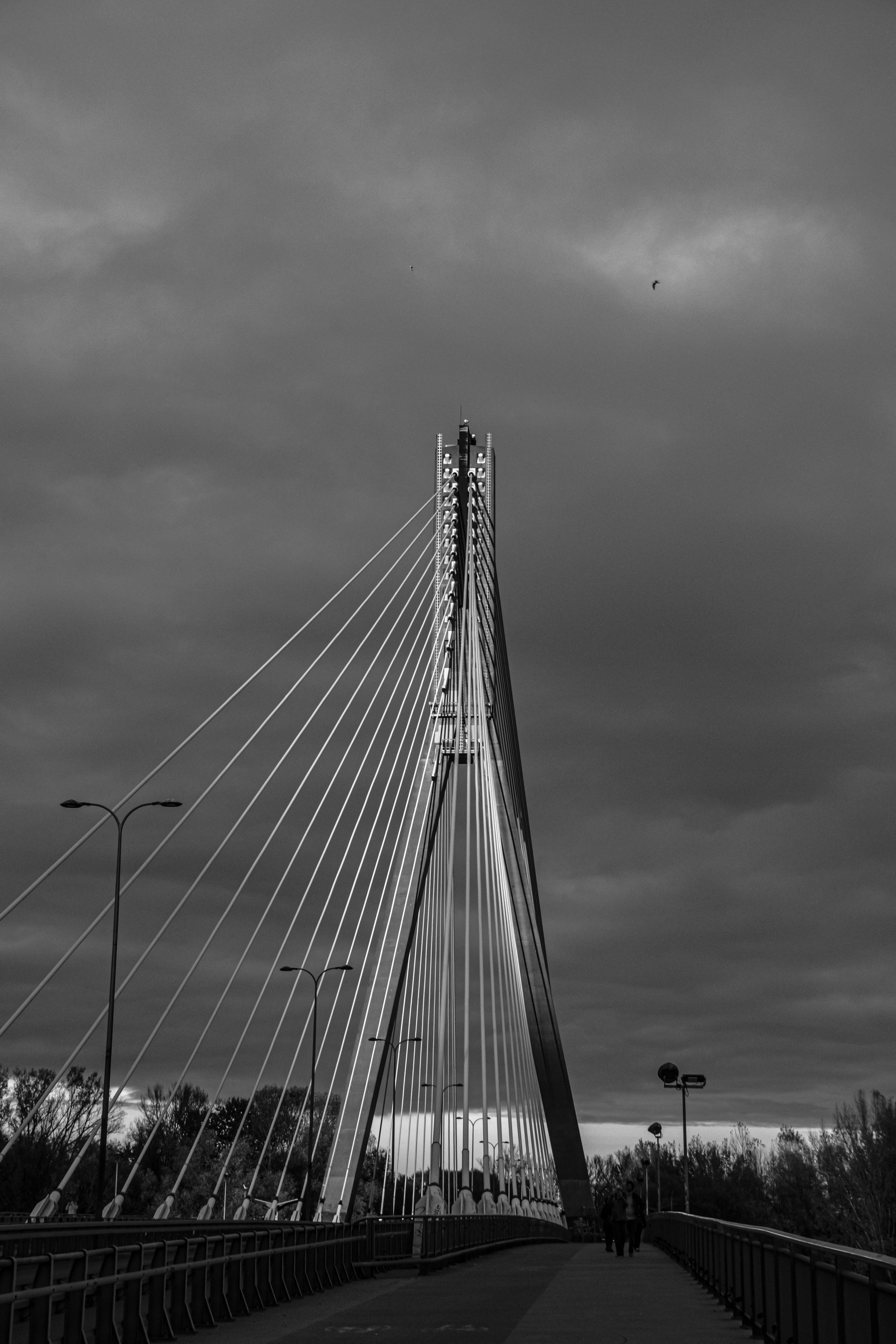 a black and white photo of a bridge