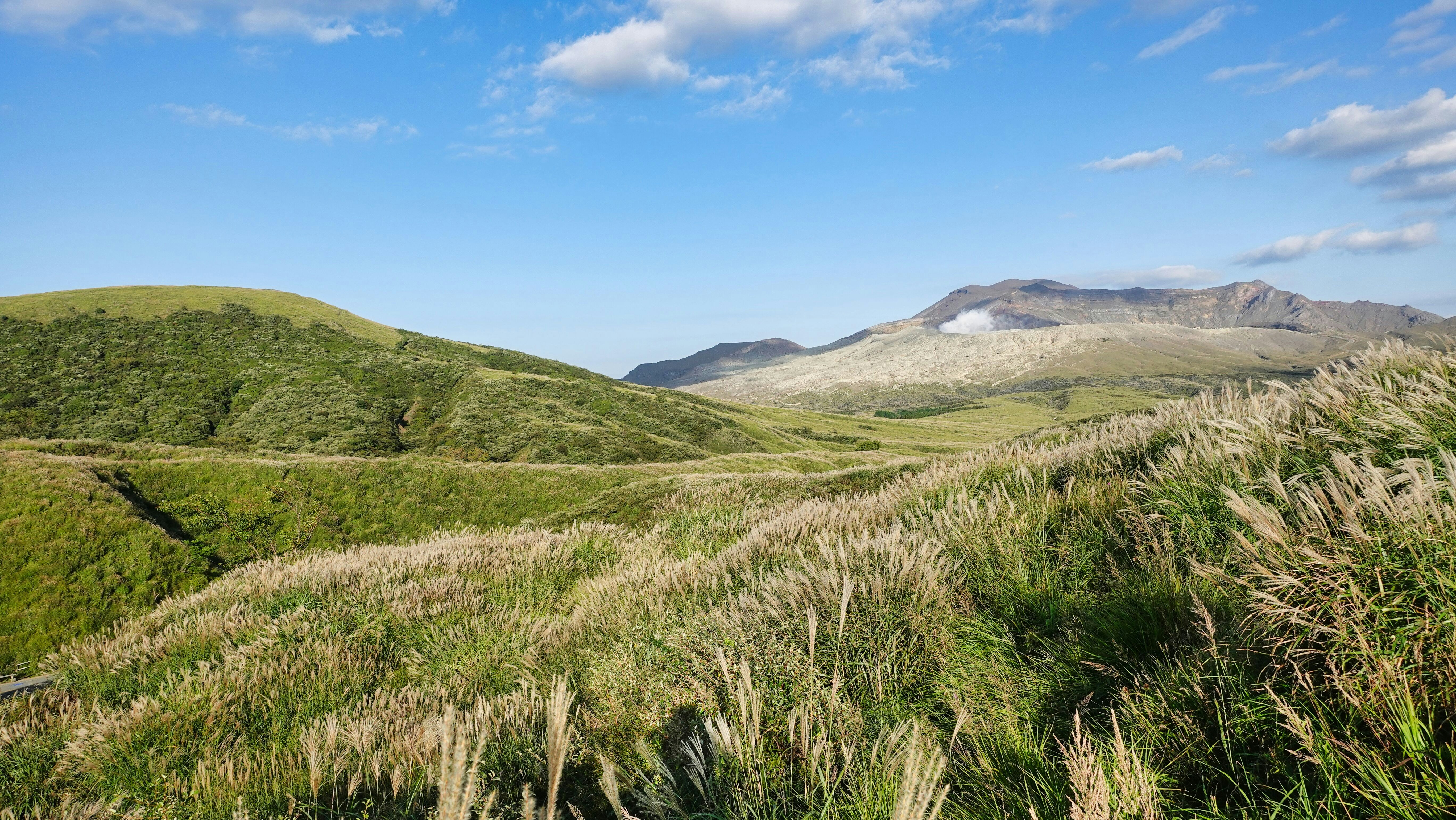 ASO Ankle Stabilizer