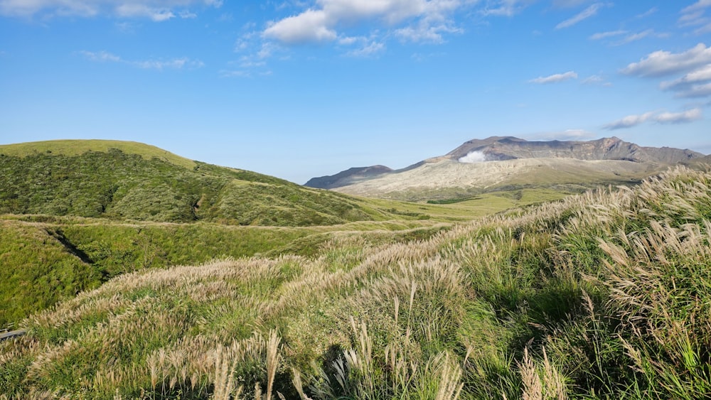 a grassy field with mountains in the background