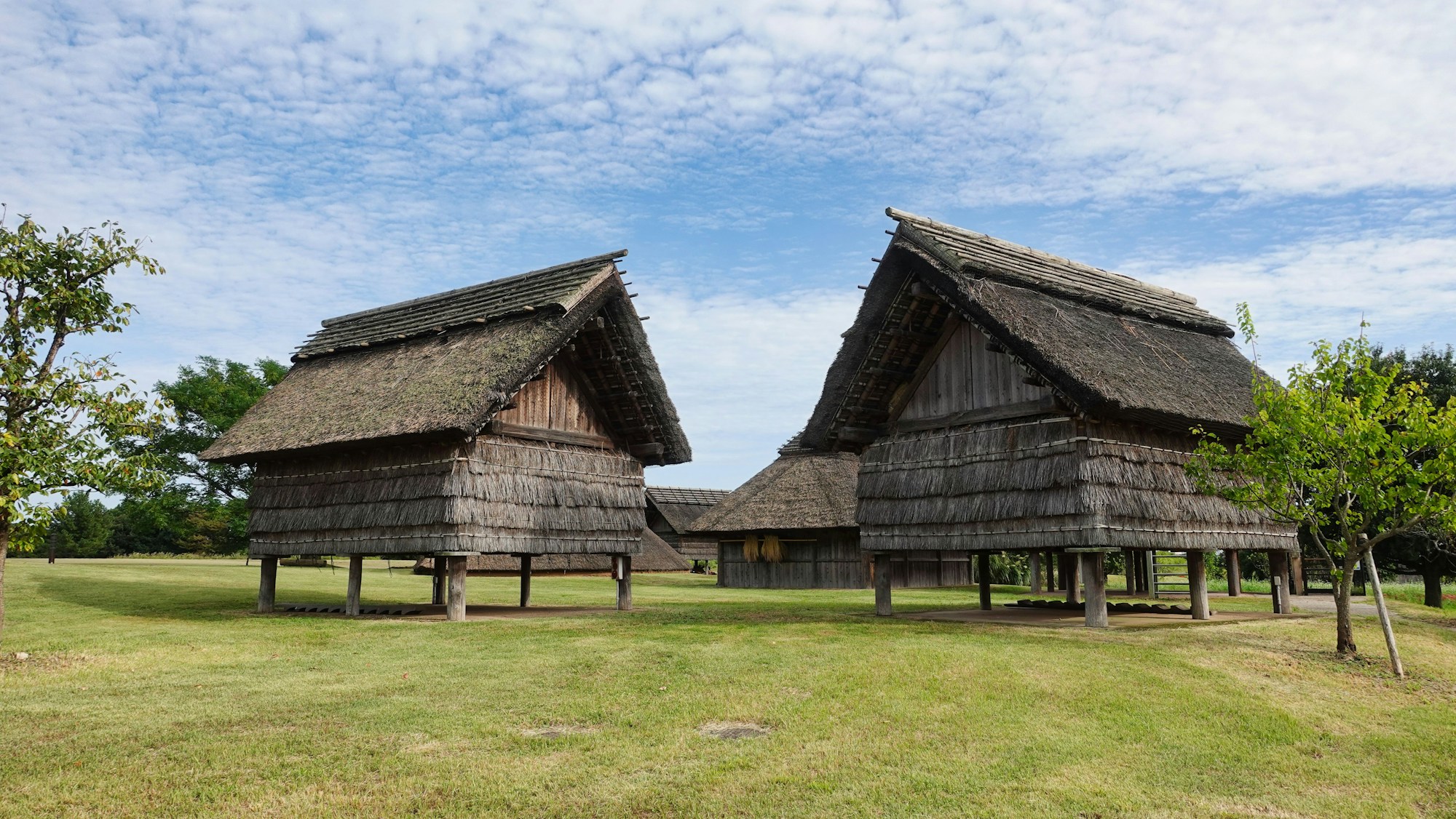 Best Seasons to Visit Yoshinogari: A Weather Guide