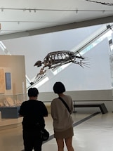 A display of a large prehistoric skeleton hanging from the ceiling in a museum setting. Two people are observing the exhibit, standing close to each other. The space is modern and minimalistic, with light streaming in from large windows.
