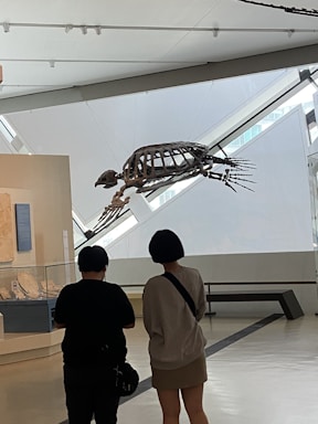 A display of a large prehistoric skeleton hanging from the ceiling in a museum setting. Two people are observing the exhibit, standing close to each other. The space is modern and minimalistic, with light streaming in from large windows.