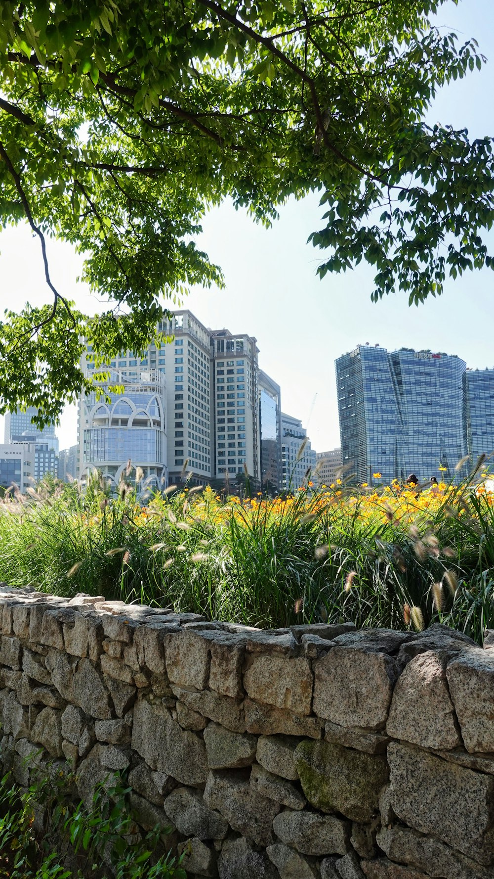 a stone wall in a park with buildings in the background