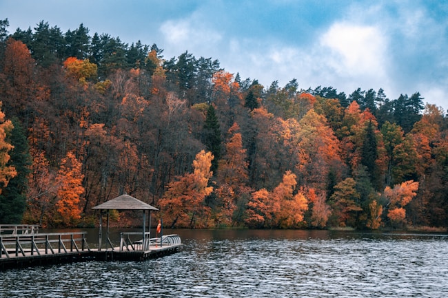 a dock with a gazebo in the middle of a lake