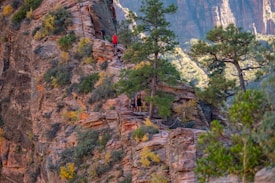 Hikers are ascending a steep, rugged trail on a mountain slope with visible trees and some patchy vegetation. The rocky terrain is prominent, and a few people are visible, one wearing a bright red jacket.