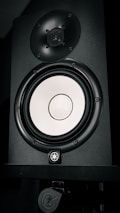 A black speaker with a shiny, silver-colored woofer and a smaller tweeter located above it. The speaker features a logo and appears to be mounted on a stand.