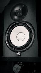 A black speaker with a shiny, silver-colored woofer and a smaller tweeter located above it. The speaker features a logo and appears to be mounted on a stand.