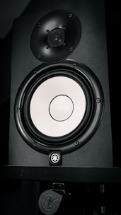 A black speaker with a shiny, silver-colored woofer and a smaller tweeter located above it. The speaker features a logo and appears to be mounted on a stand.