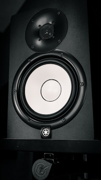 A black speaker with a shiny, silver-colored woofer and a smaller tweeter located above it. The speaker features a logo and appears to be mounted on a stand.