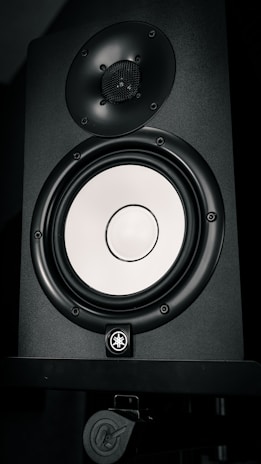 A black speaker with a shiny, silver-colored woofer and a smaller tweeter located above it. The speaker features a logo and appears to be mounted on a stand.