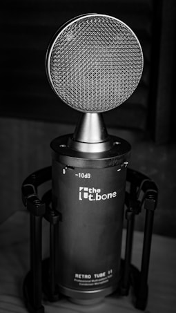 A close-up of a microphone with a retro design placed on a stand. The microphone features a large round mesh grille and a cylindrical body with branding and decibel markings visible on the surface.