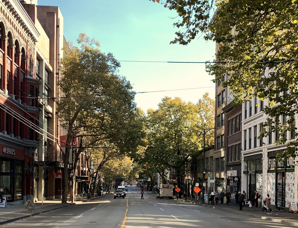 a city street lined with tall buildings and trees