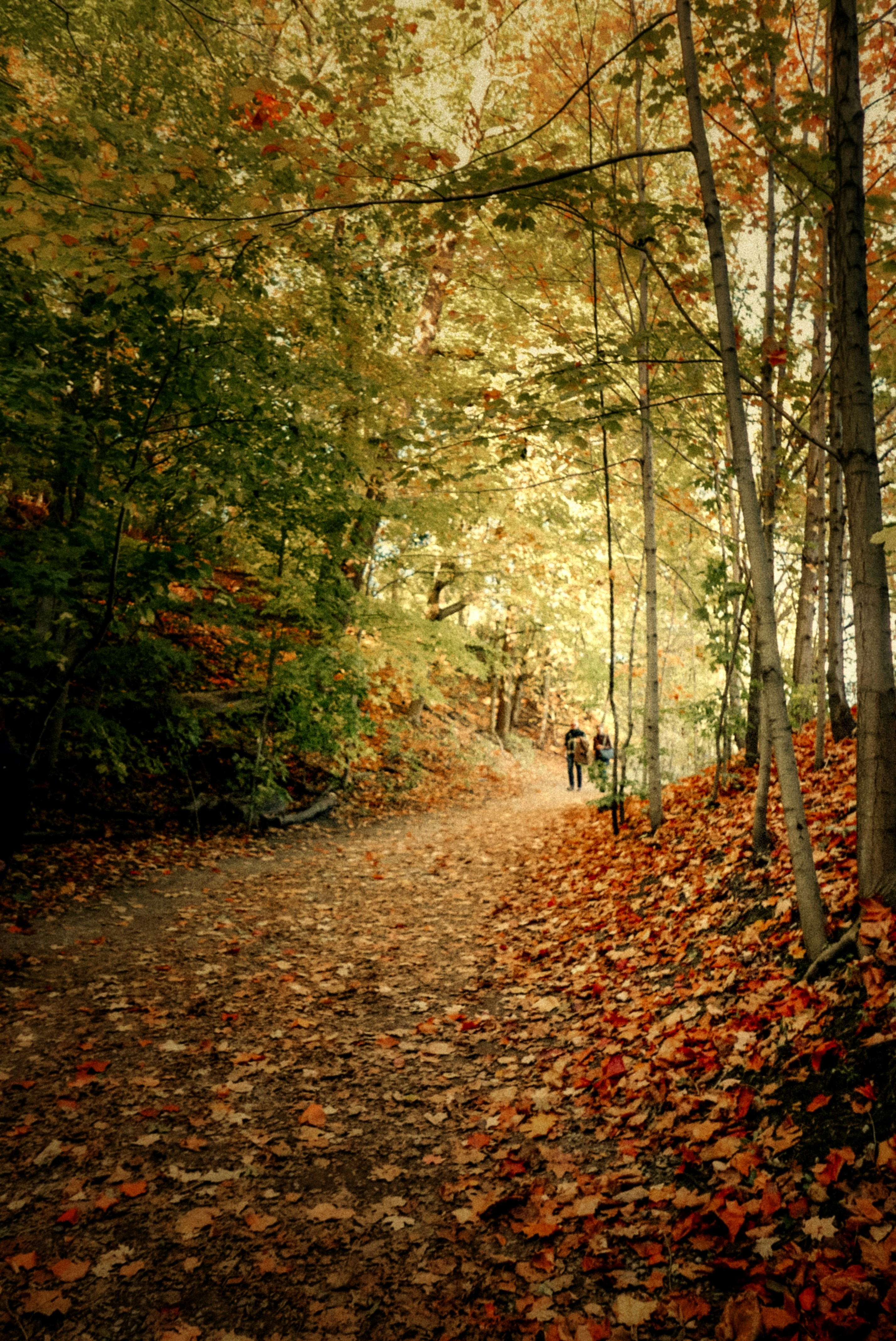 Photo by vitalymazur