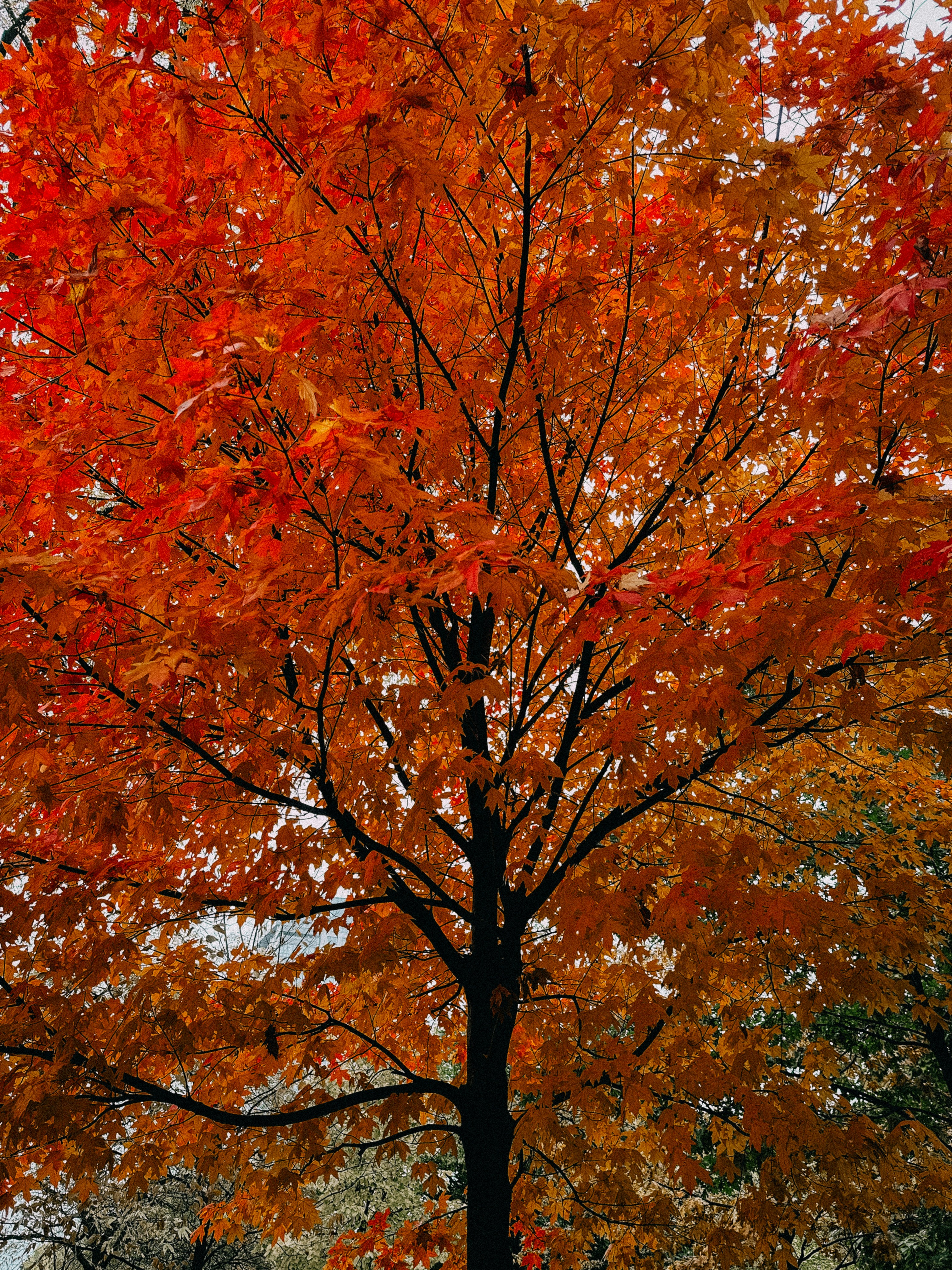 Photo by vitalymazur