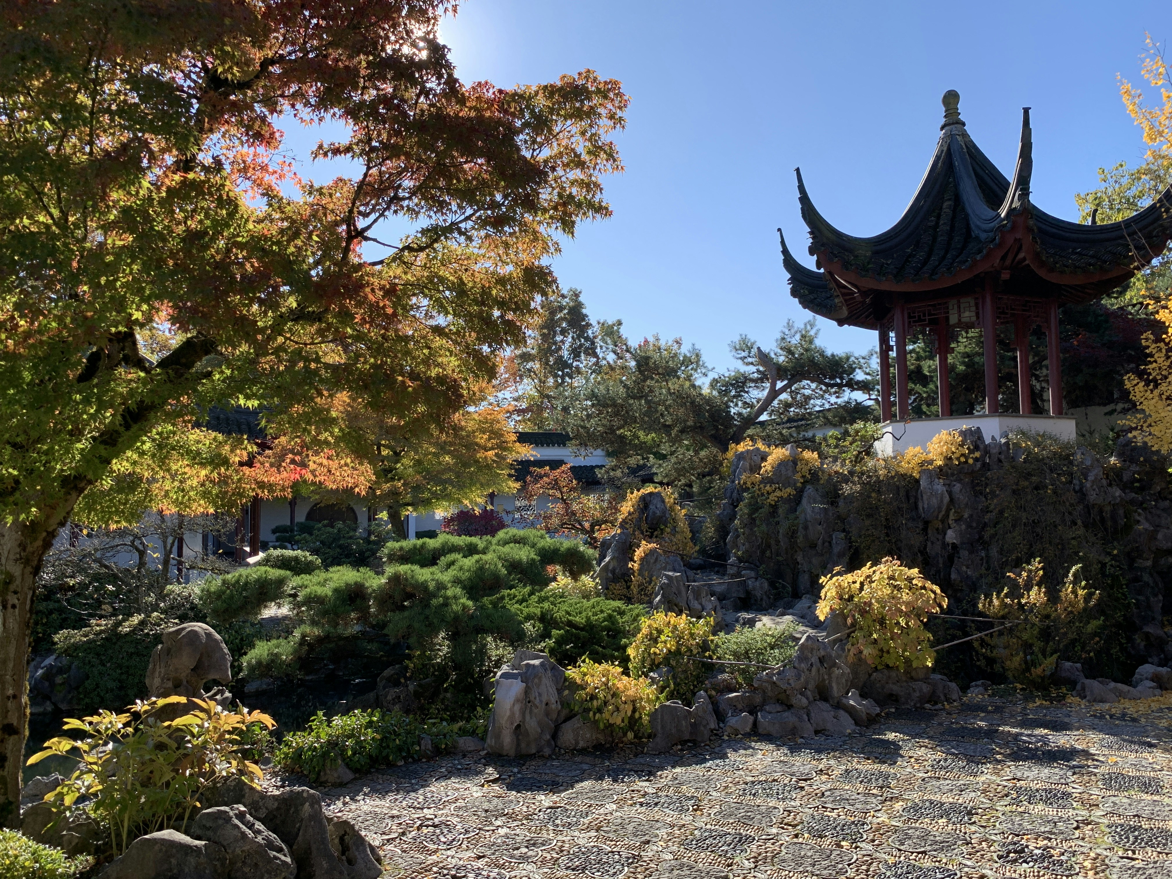 una pagoda en medio de un jardín con rocas y árboles