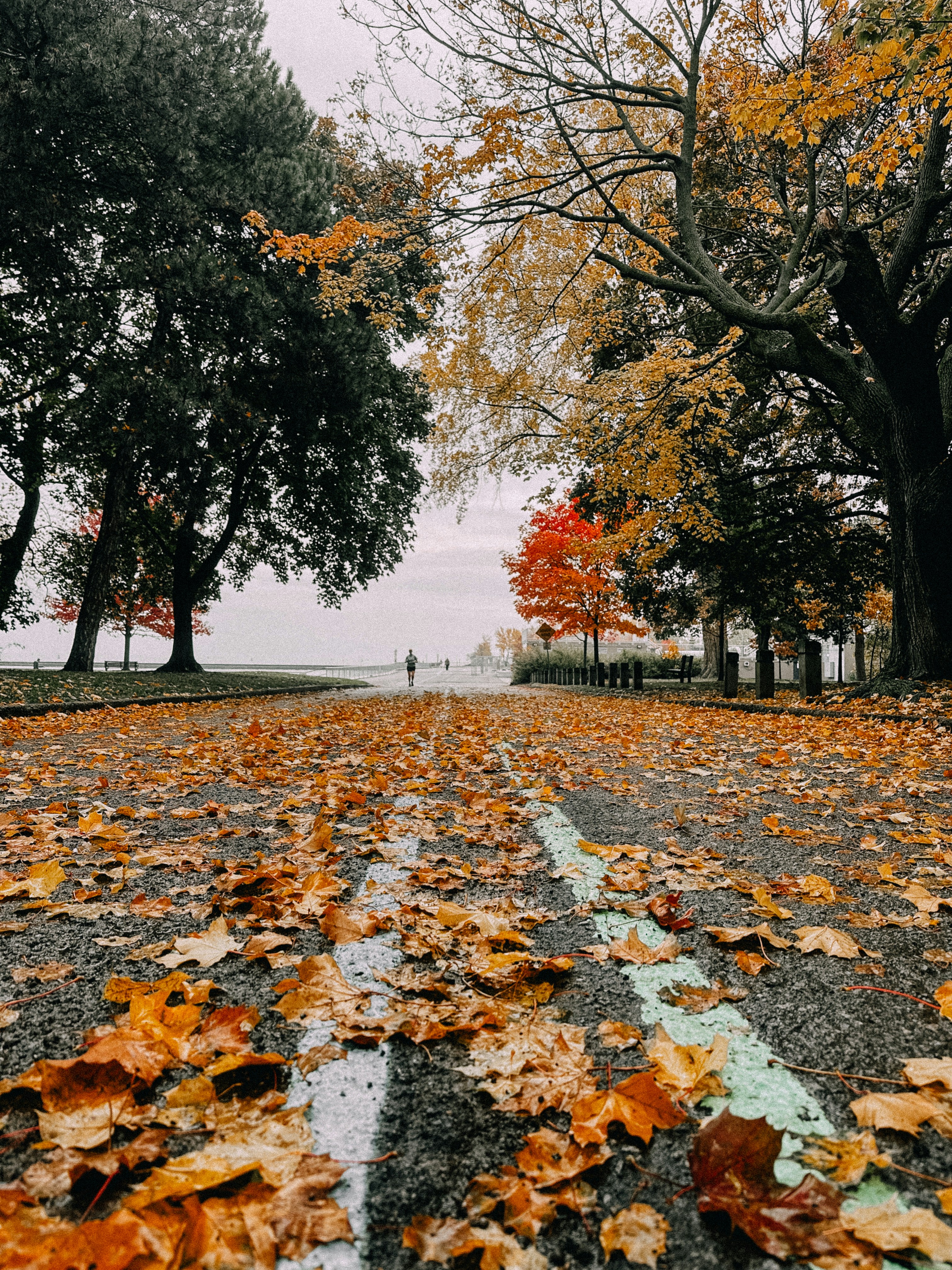 Photo by vitalymazur