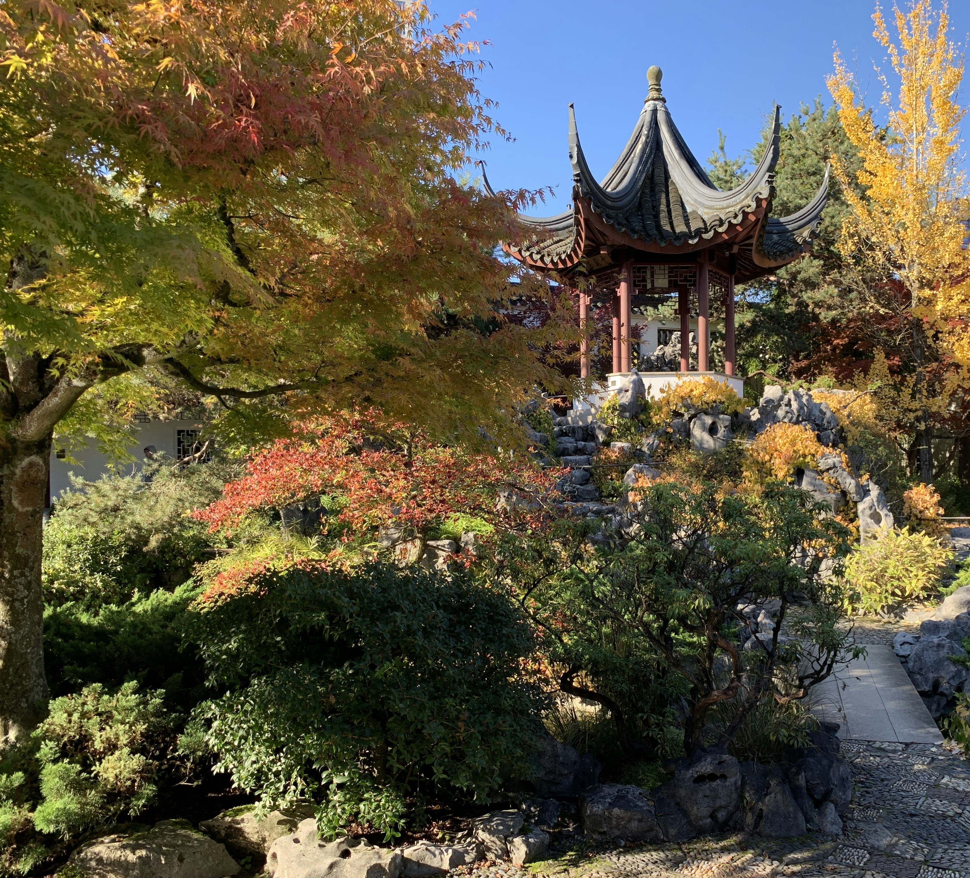 Un mirador rodeado de árboles y rocas en un parque