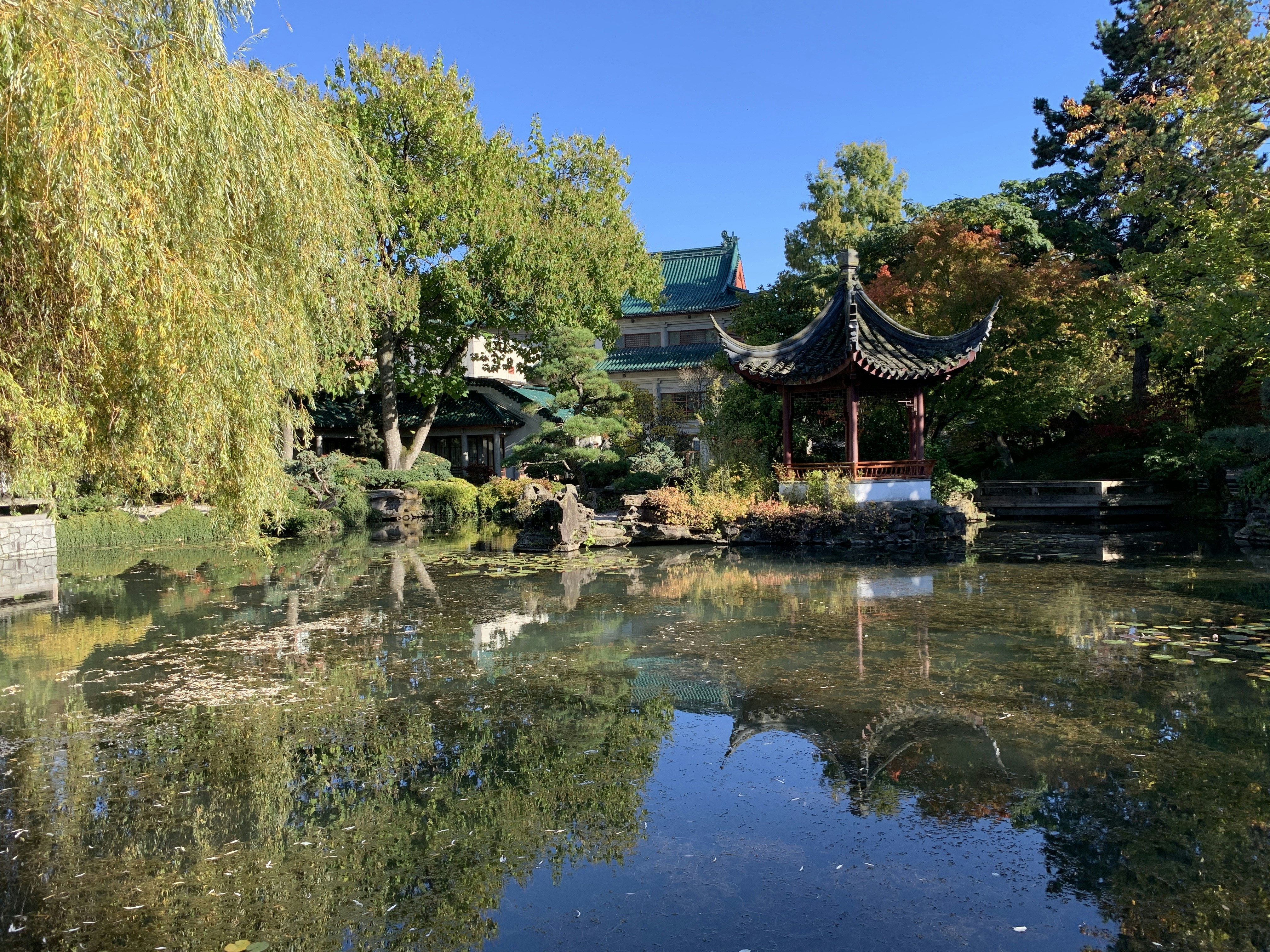a pond in a park with a pavilion in the background