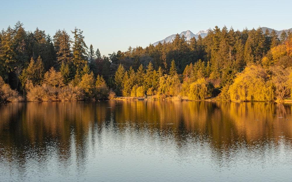uno specchio d'acqua circondato da alberi e montagne