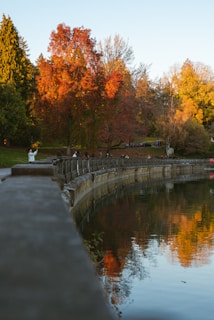 a body of water surrounded by trees with orange leaves