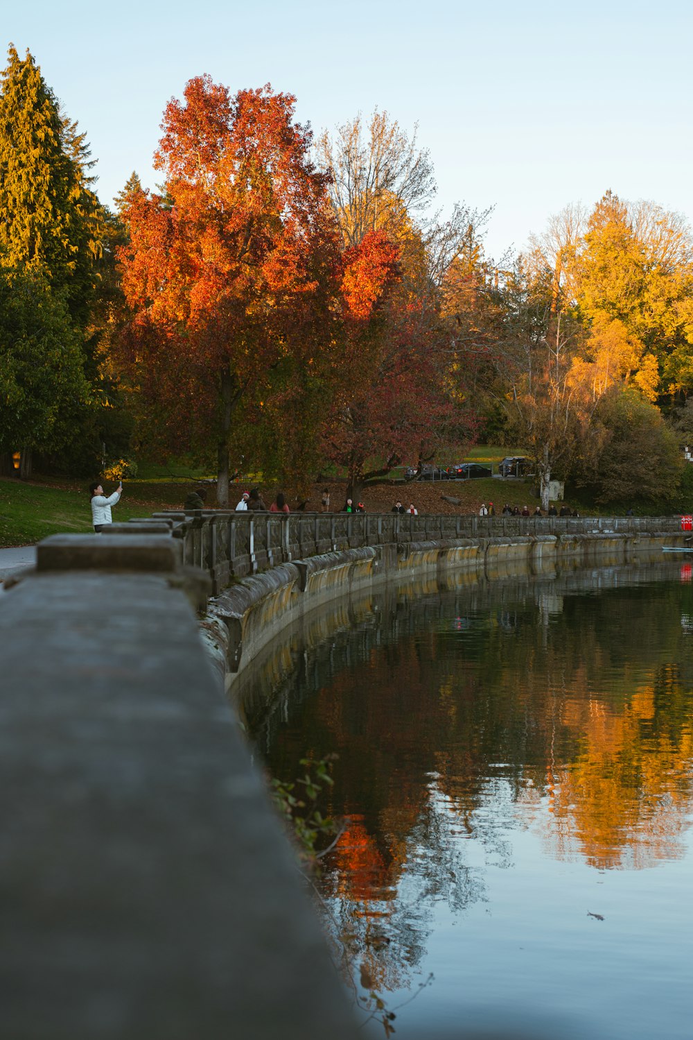 a body of water surrounded by trees with orange leaves