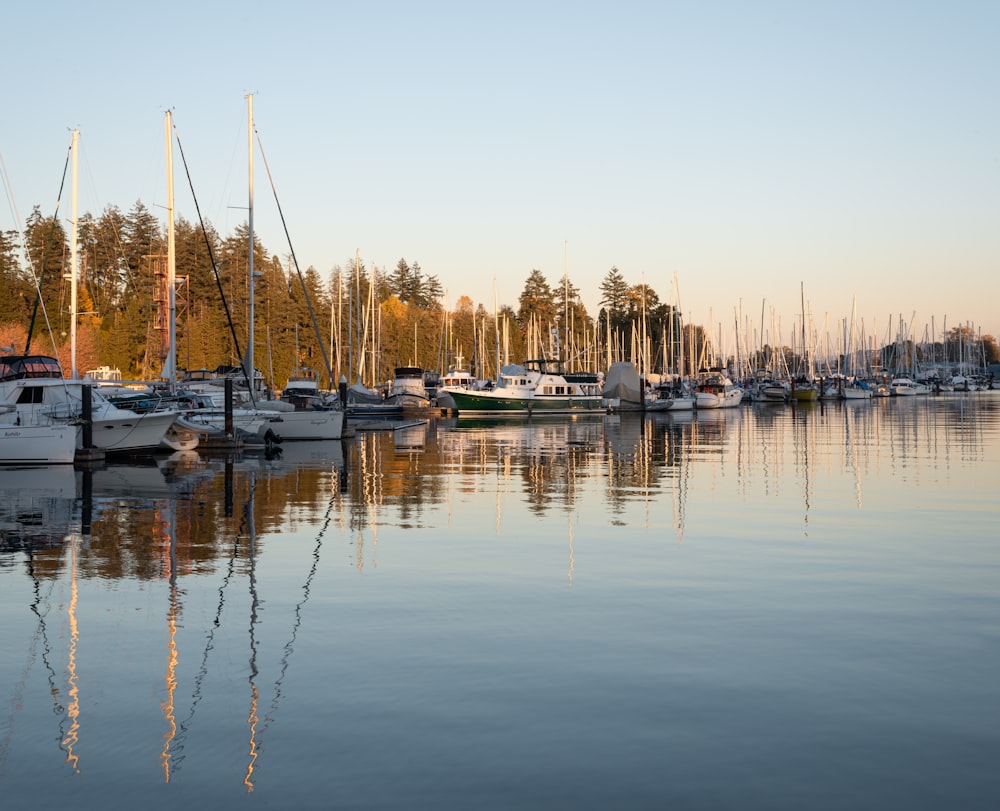 a bunch of boats that are sitting in the water