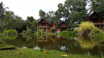 a body of water surrounded by trees and buildings