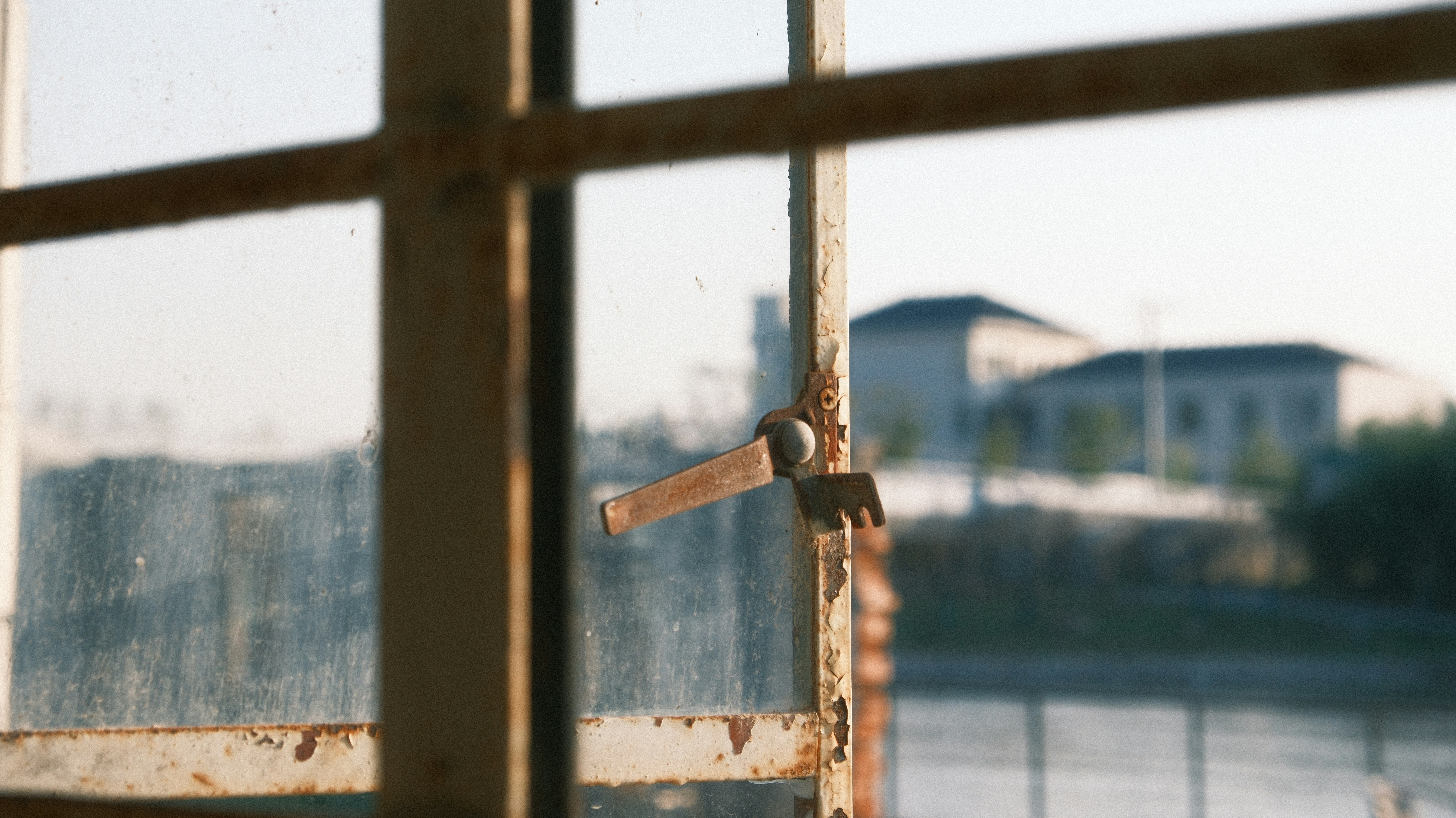 Photo by leo_gilgamesh