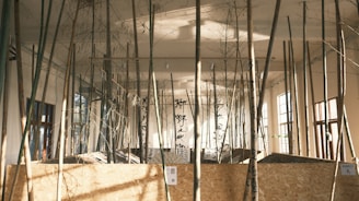 Tall bamboo stalks are arranged vertically in an indoor space, creating a forest-like atmosphere. Natural light from large windows illuminates the area, casting soft shadows on the walls and floor. Decorative panels with Asian calligraphy are positioned among the bamboo, adding an artistic and cultural element.