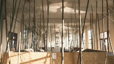 Tall bamboo stalks are arranged vertically in an indoor space, creating a forest-like atmosphere. Natural light from large windows illuminates the area, casting soft shadows on the walls and floor. Decorative panels with Asian calligraphy are positioned among the bamboo, adding an artistic and cultural element.