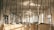 Tall bamboo stalks are arranged vertically in an indoor space, creating a forest-like atmosphere. Natural light from large windows illuminates the area, casting soft shadows on the walls and floor. Decorative panels with Asian calligraphy are positioned among the bamboo, adding an artistic and cultural element.