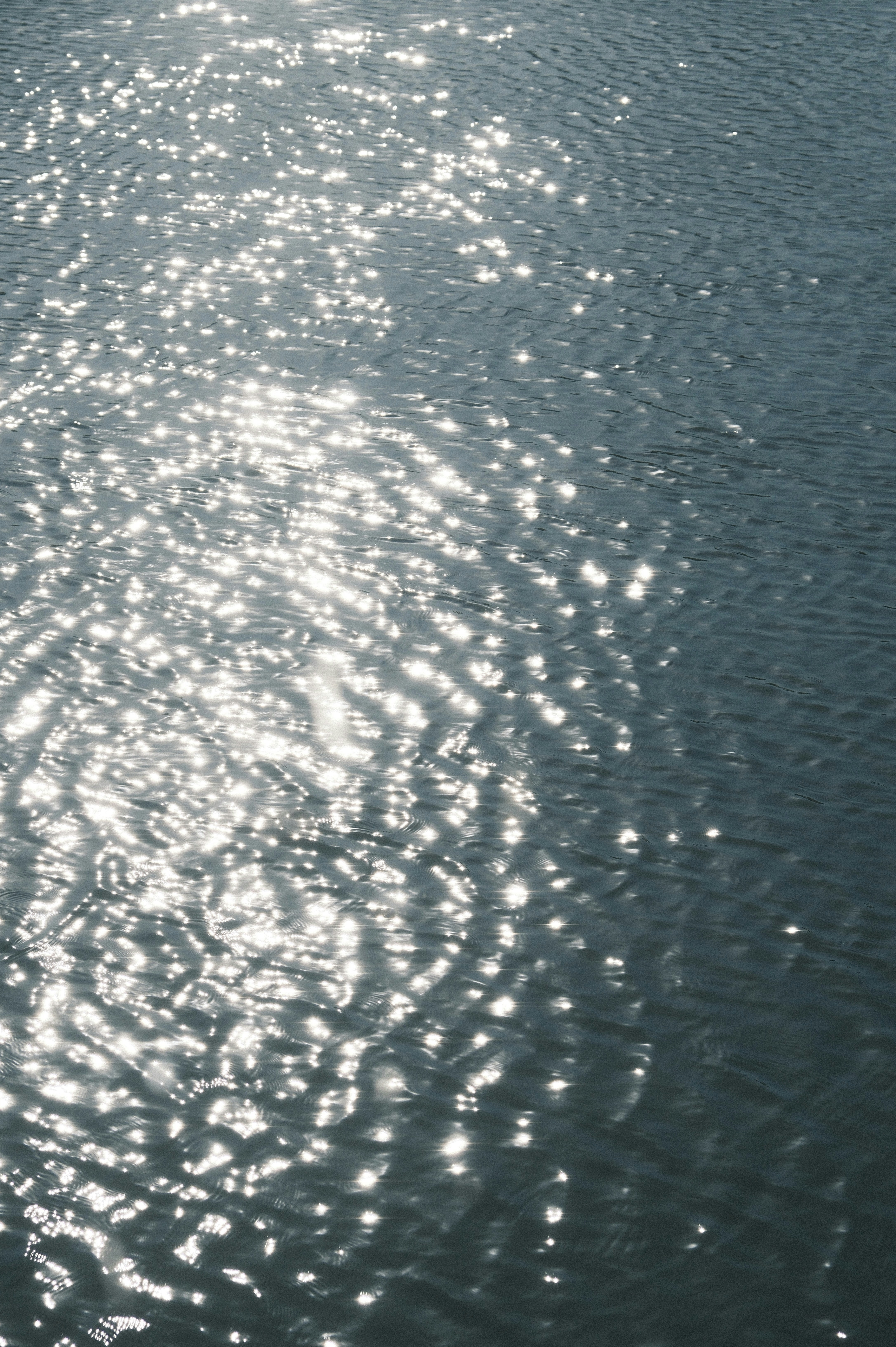 Photo by leo_gilgamesh