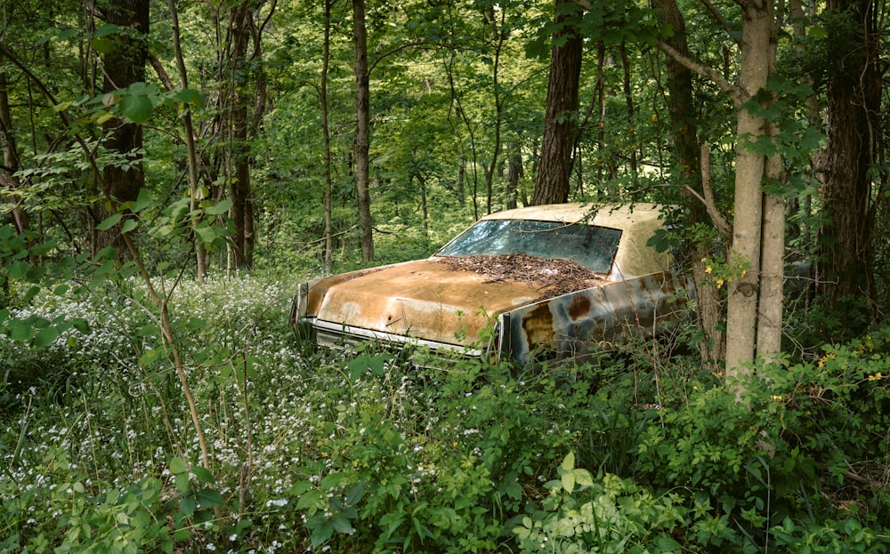 an old rusted car sitting in the middle of a forest