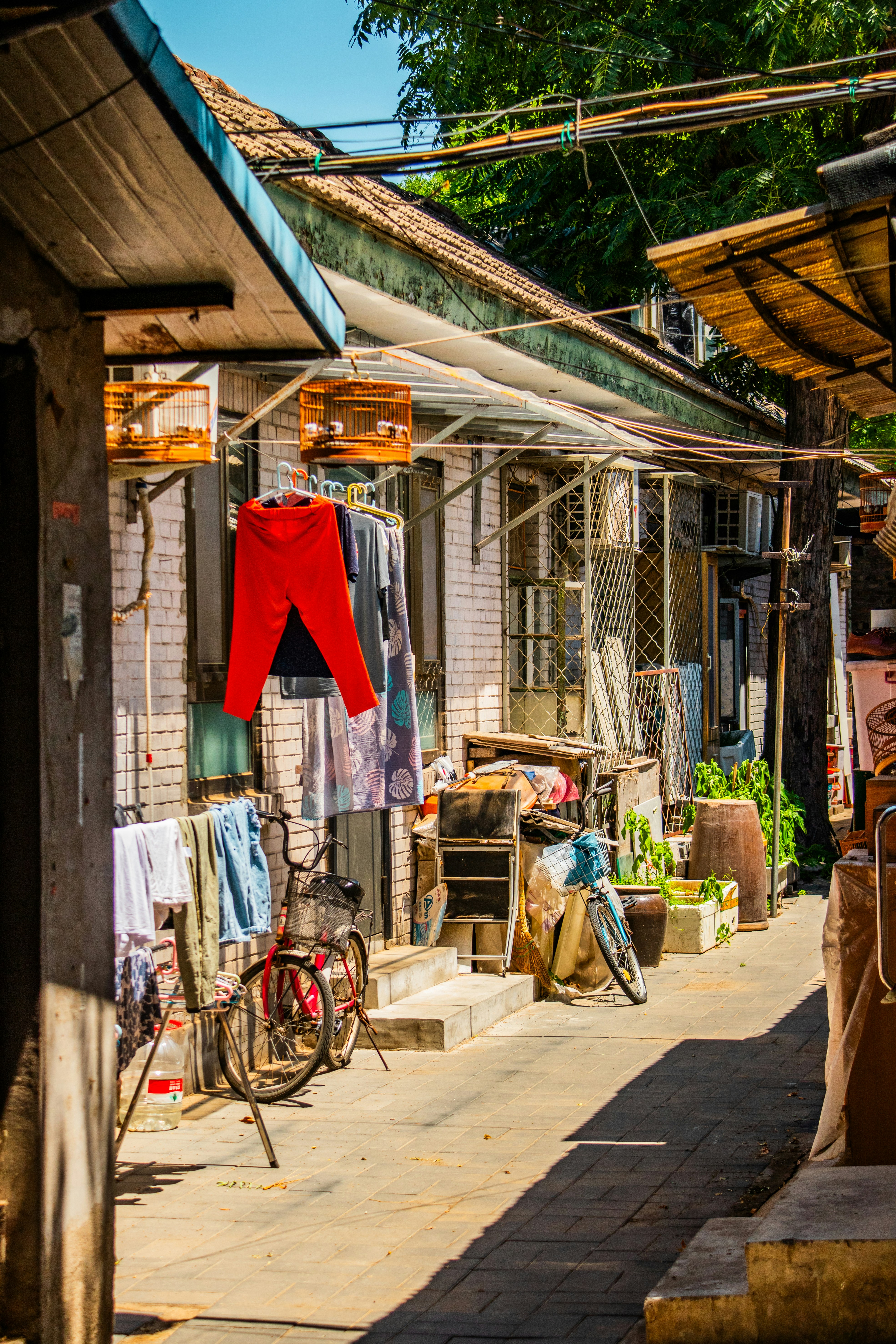 Photo by woomantsing