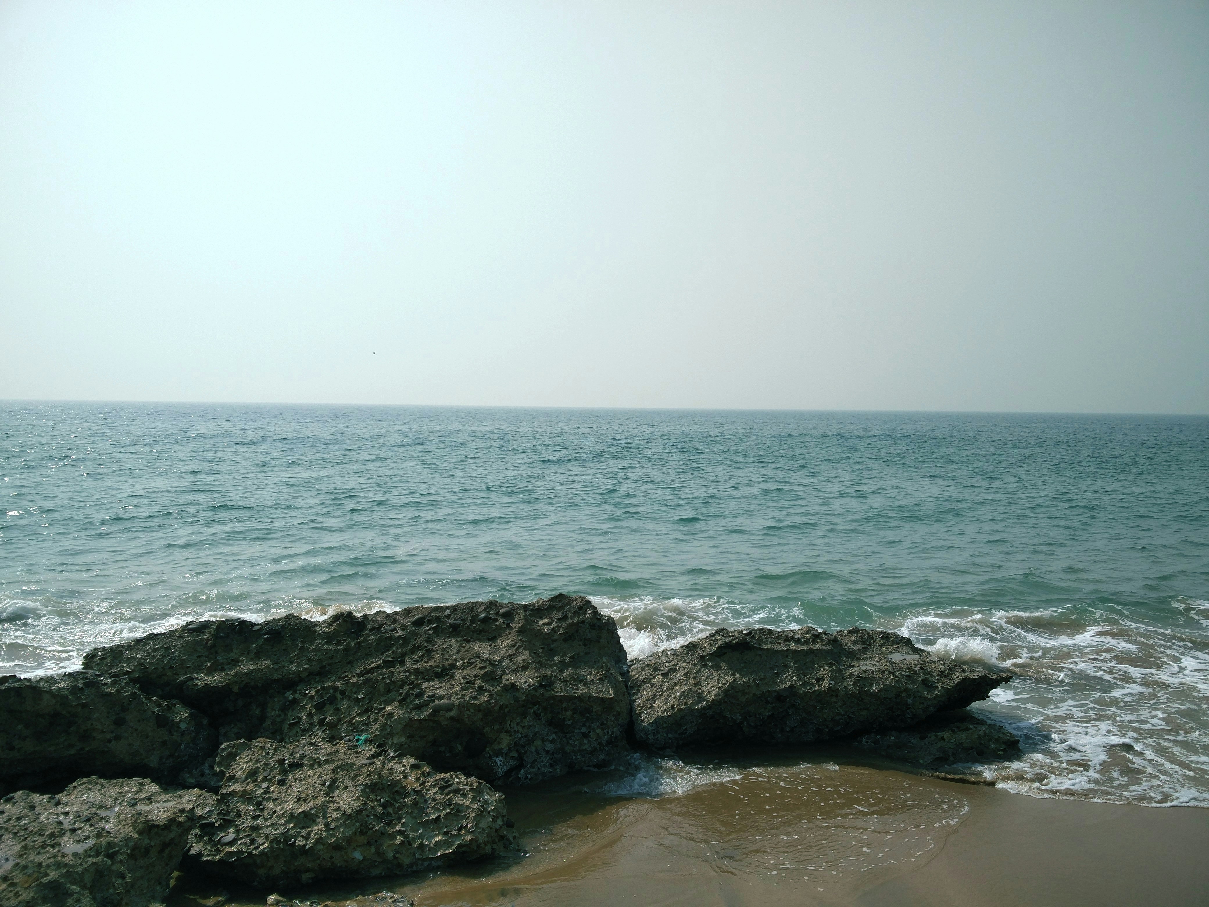 Photo by umerrizwan124