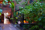 A warm, inviting waiting area with plants and calming decor at Vínculo Vivo