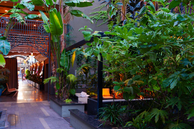 A warm, inviting waiting area with plants and calming decor at Vínculo Vivo