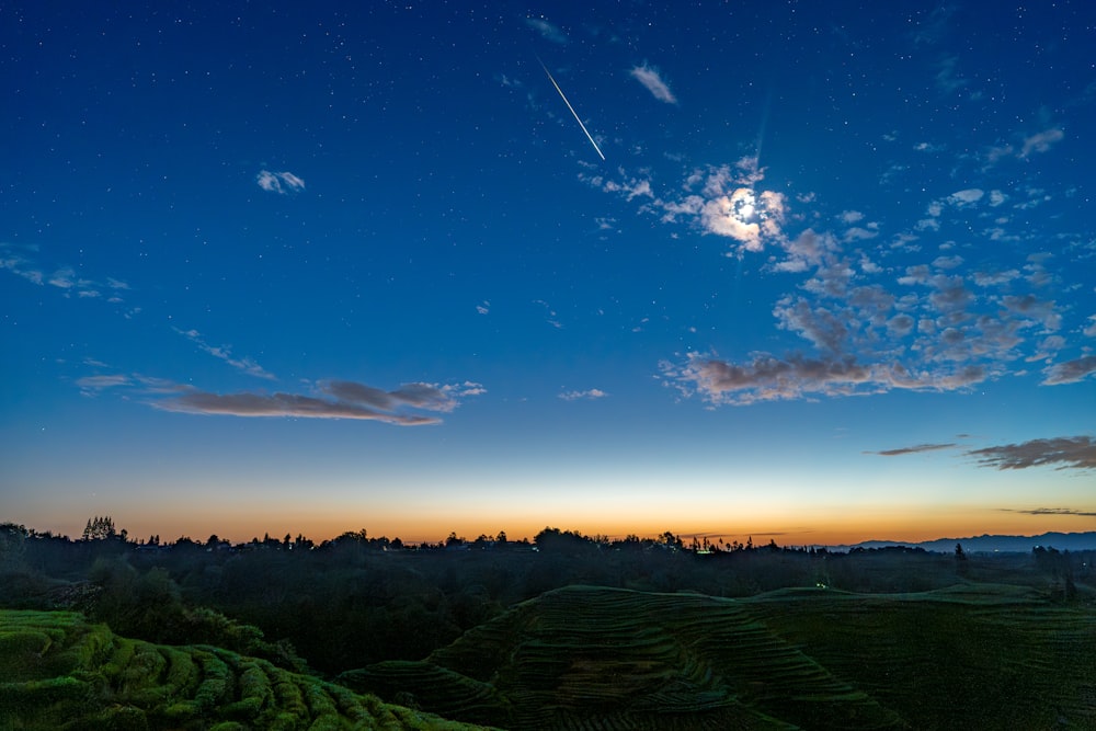 une vue d’un champ avec un ciel plein d’étoiles