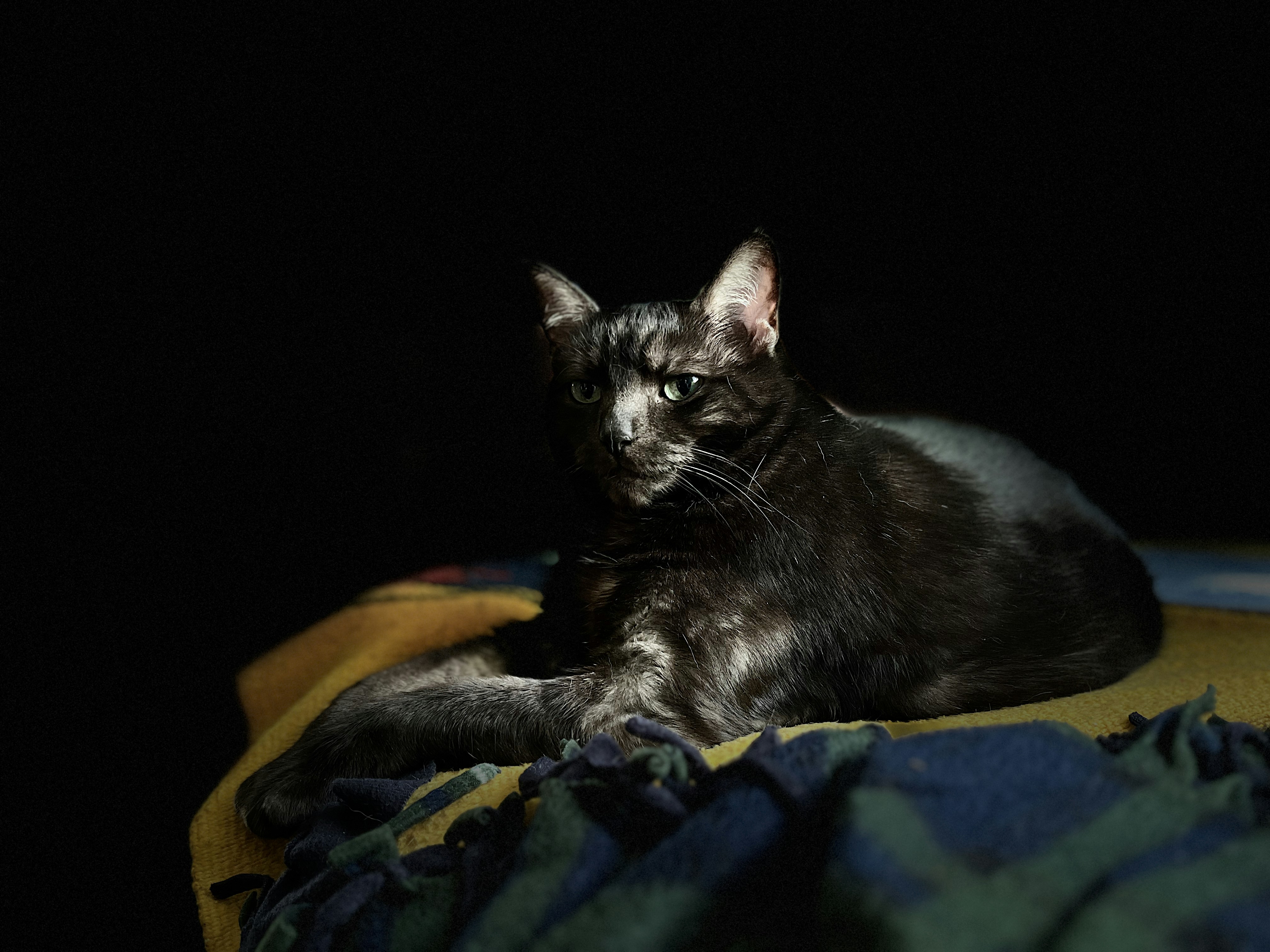 Photo by rocklilybeast