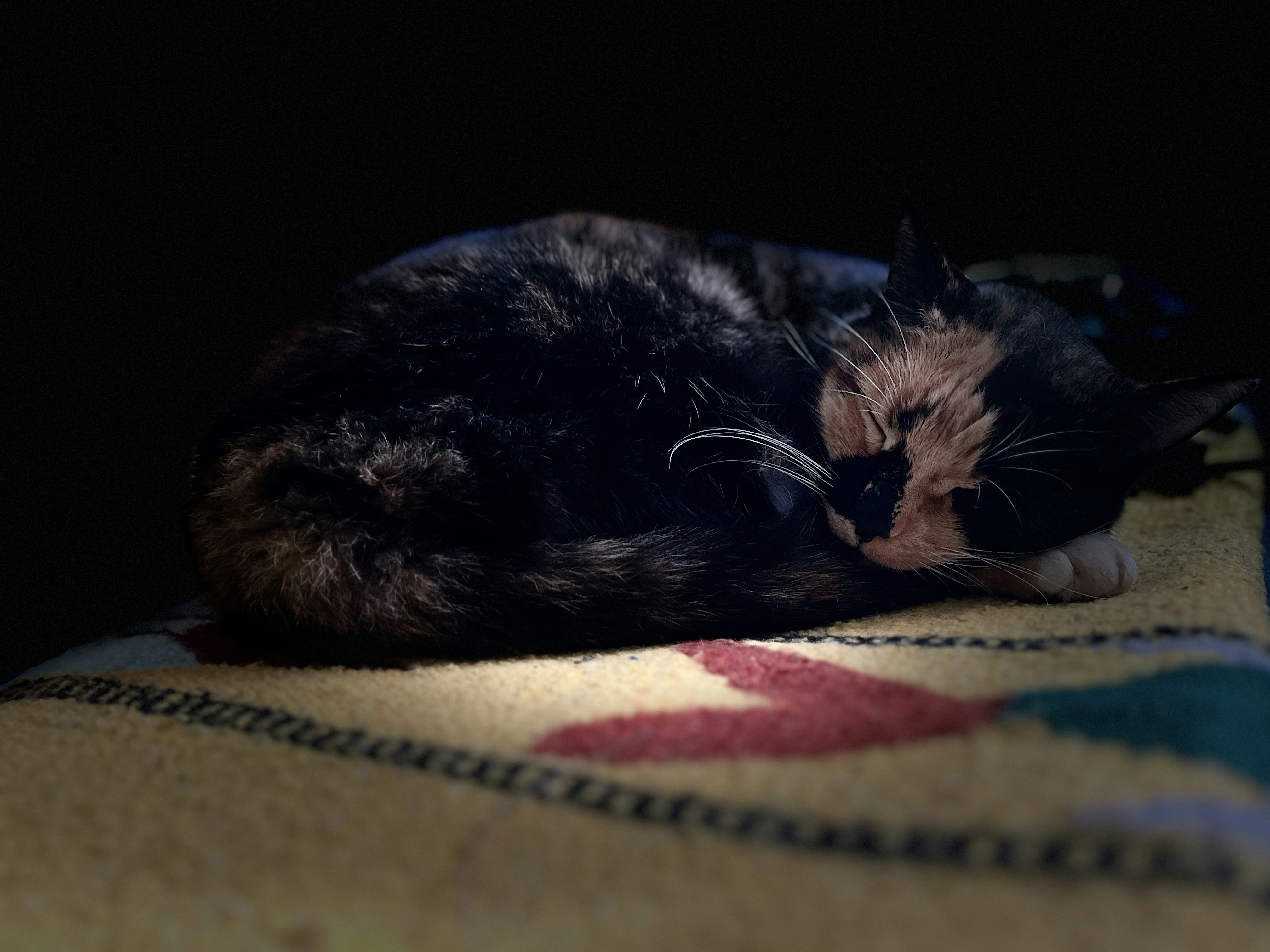 Photo by rocklilybeast