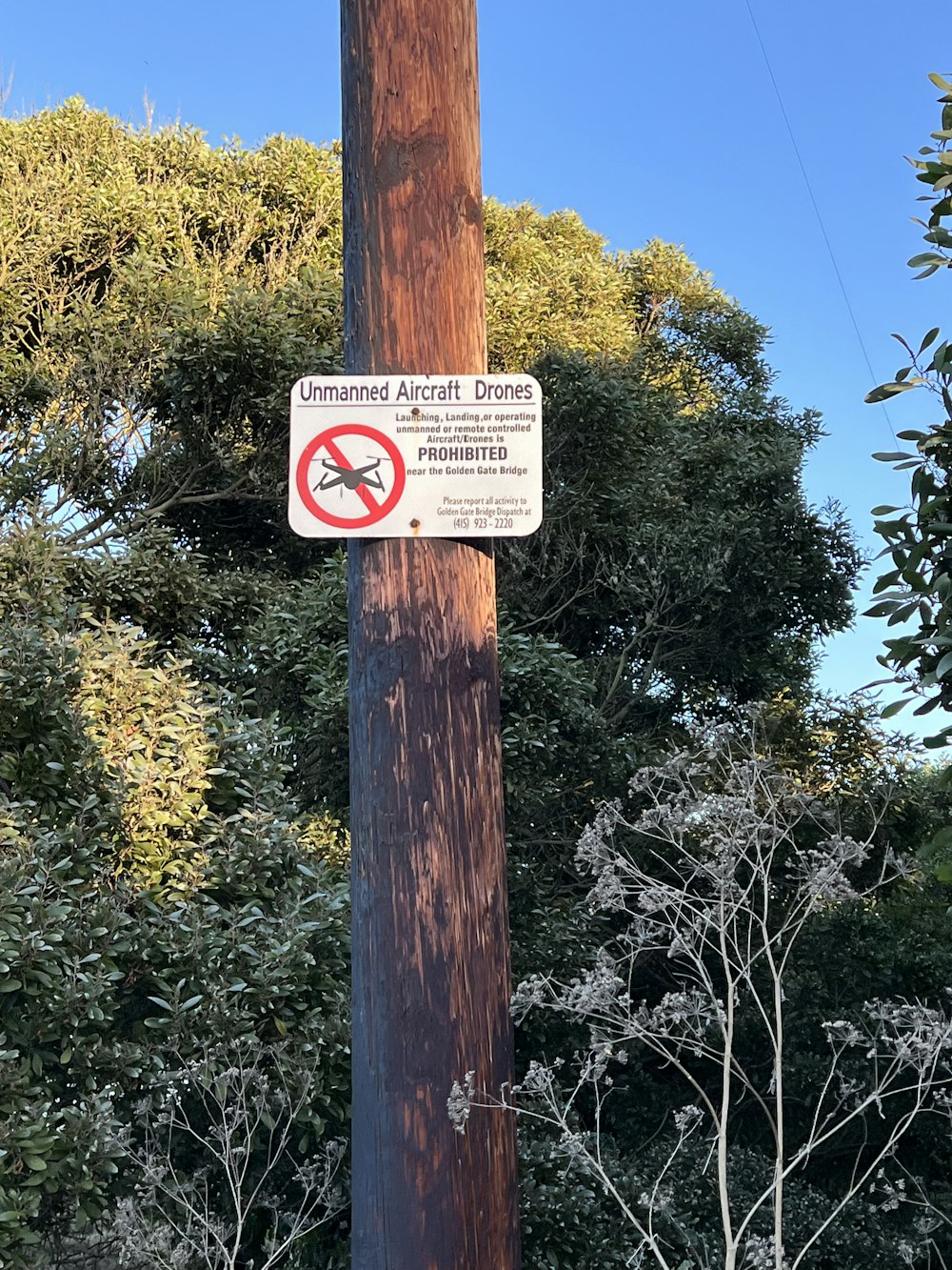 a no smoking sign on a telephone pole