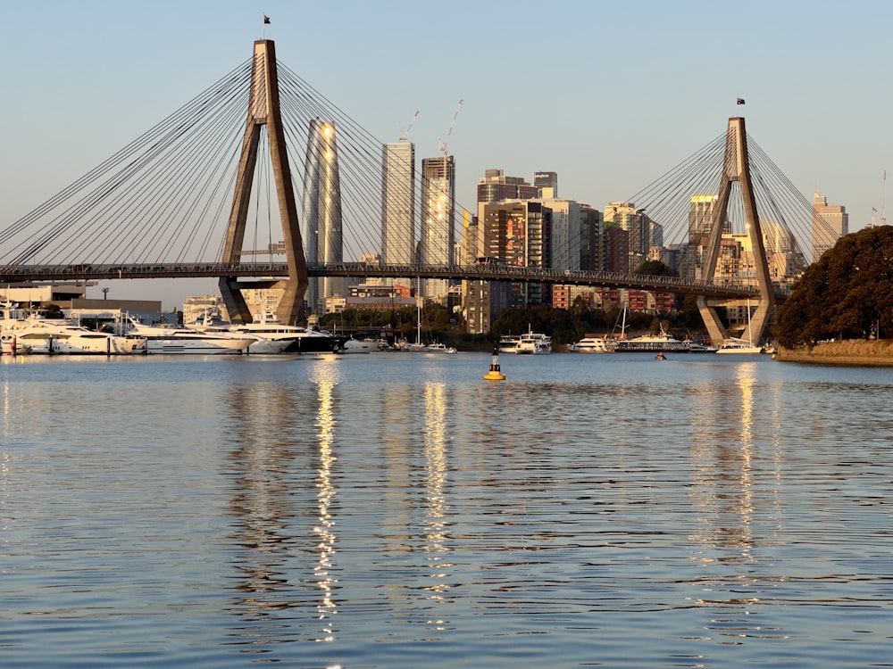 a large bridge spanning over a large body of water