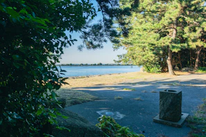 A scenic view capturing a peaceful moment of reflection outdoors