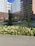 A modern residential complex with tall buildings featuring a mix of white and brown facades. In front of the buildings, there is a well-maintained garden with a variety of plants and flowers, including a prominent patch of blooming hydrangeas in shades of white and pink. Sidewalks and pathways weave through the green spaces, and there are several young trees and manicured lawns.