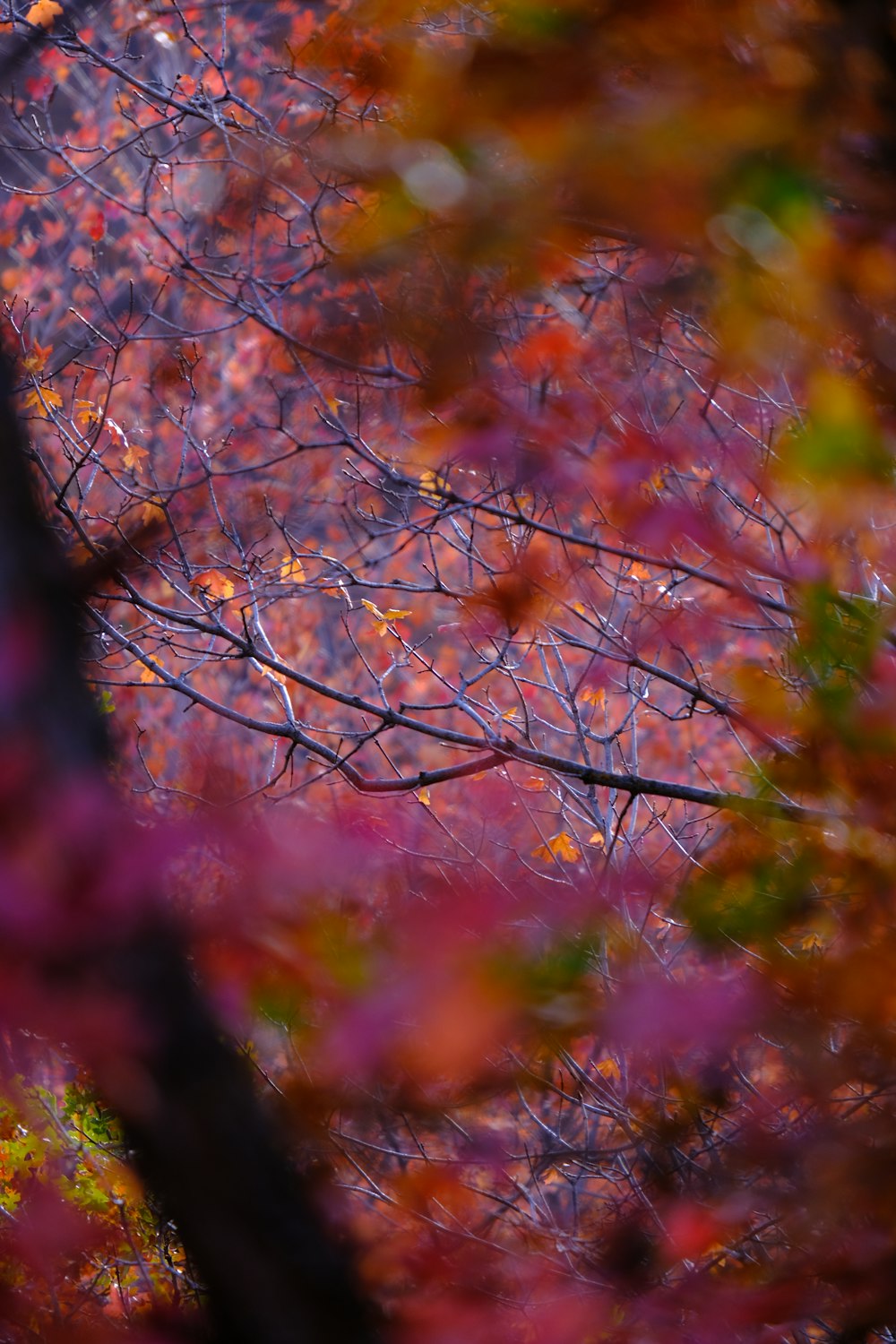 a bird is perched on a tree branch