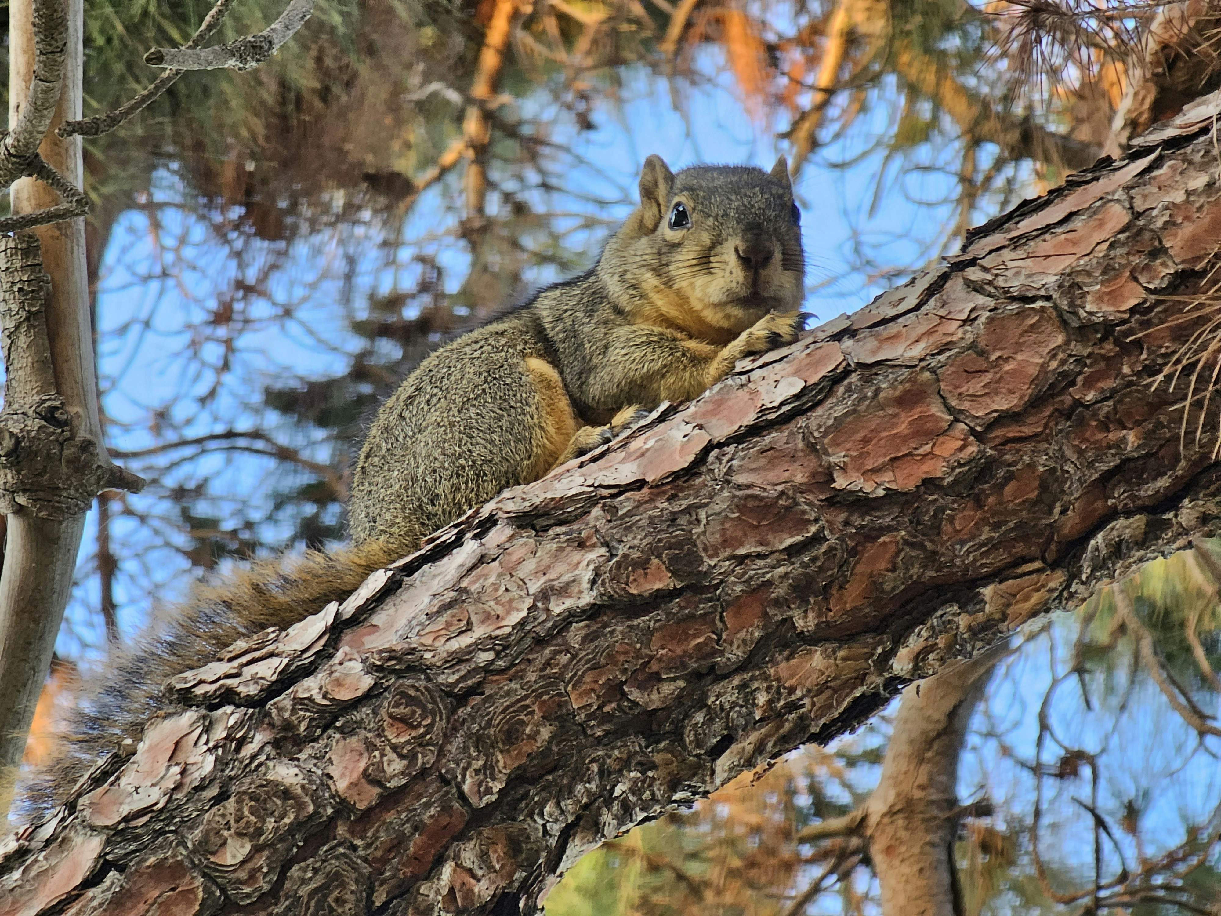 Photo by tinyonstage