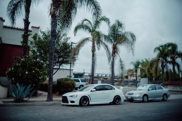 Two cars are parked on the side of a street lined with palm trees. The larger car is white with black detailing and parked in front of a smaller silver car. The scene includes a variety of tall, slender palm trees and other greenery alongside a stucco building with traditional red roof tiles. The sky is overcast, giving the area a calm, muted appearance.