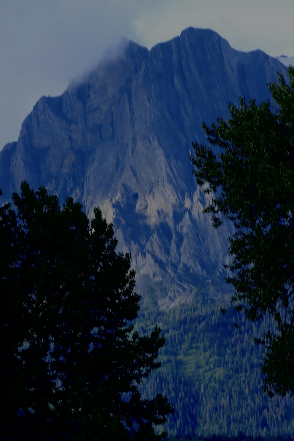 a view of a mountain with trees in the foreground