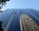 Several workers in harnesses are suspended on ropes while cleaning the glass facade of a skyscraper. The building reflects another skyscraper and the clear blue sky. A tree with green leaves is partially visible in the upper left corner.
